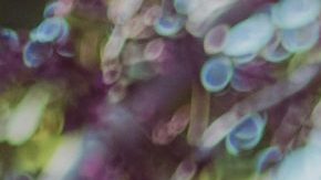 Photo: Unsplash/@yardi93