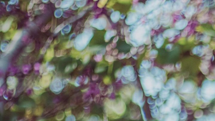 Photo: Unsplash/@yardi93