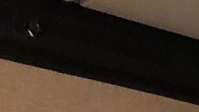 Photo: Twitter/@Vegalteno