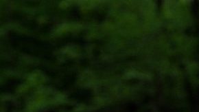 Photo courtesy Cindy Rodriguez