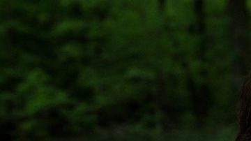 Photo courtesy Cindy Rodriguez