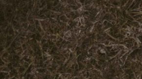 Photo: Unsplash/@cristian_newman