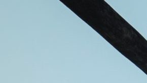 Photo: Unsplash/@jngabo