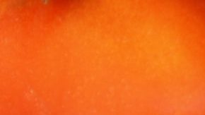 Photo: Unsplash/@lmablankers