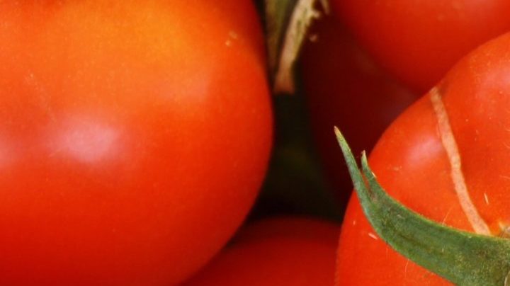 Photo: Unsplash/@lmablankers