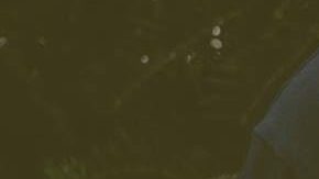 Photo: Unsplash/@nonsapvisuals