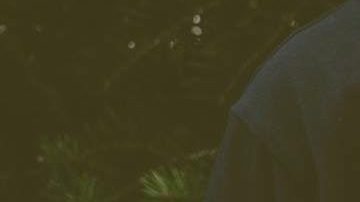 Photo: Unsplash/@nonsapvisuals