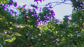 Photo: Unsplash/pbernardon