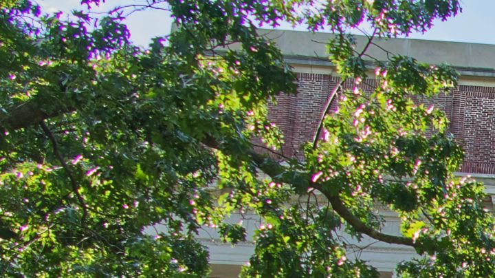 Photo: Unsplash/pbernardon