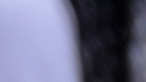 Photo: Unsplash/@gatolulu