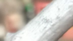 Photo: Unsplash/@sambrand