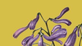 yesika-salgado-hermosa-poetry