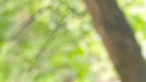 Photo: Instagram/@jharreljerome