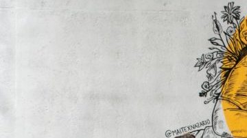 Photo: Courtesy the artist Maite Nazario