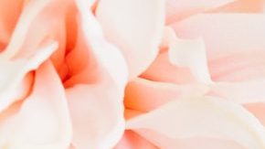 Holiday Gift Guide 2019: 15 Gifts the Hardworking Virgos in Your Life Will Love