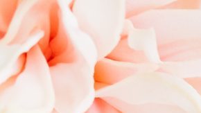 Holiday Gift Guide 2019: 15 Gifts the Hardworking Virgos in Your Life Will Love