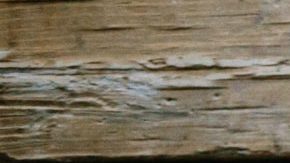 Photo: Unsplash/@brookelark