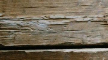 Photo: Unsplash/@brookelark