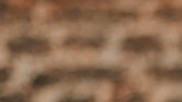 The 9 Best Halloween Costumes from Your Favorite Celebs