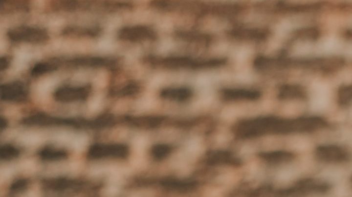 The 9 Best Halloween Costumes from Your Favorite Celebs