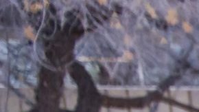 Photo: Unsplash/@dulceylima