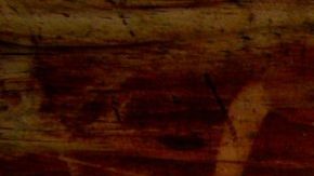 Latino Student Told to 'Speak English' at El Paso High School