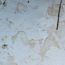 Photo: Unsplash/@thetaikun