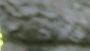 Photo: Unsplash/@joshstyle