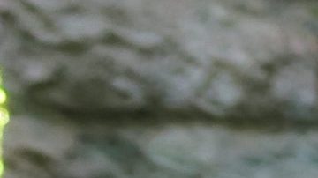 Photo: Unsplash/@joshstyle