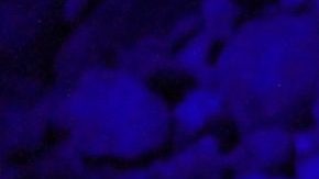 Holiday Gift Guide 2019: 21 Gifts for the Passionate and Mysterious Scorpio in Your Life