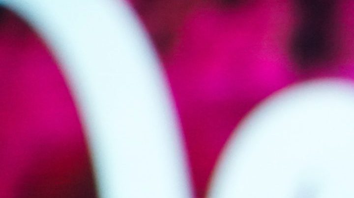 Photo: Unsplash/@mattbotsford