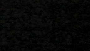 Photo: Unsplash/@matthew_t_rader