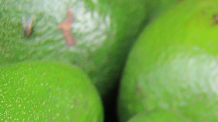 Mexico’s Avocado Industry Facing Cartel Takeover