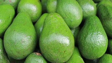 Mexico’s Avocado Industry Facing Cartel Takeover