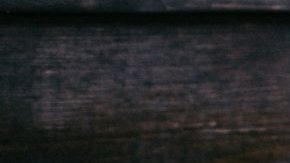 Photo: Unsplash/@patrickian4