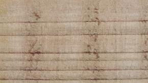 CBP Officer & Navy Vet Fired Over Mexican Birth Certificate