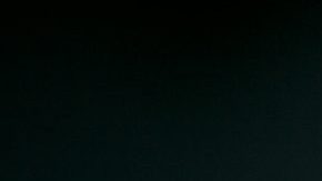 Photo: Unsplash/@sharonmccutcheon