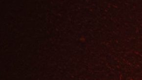 Photo: Unsplash/@vinetlouispictures