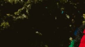 Native American woman Thanksgiving