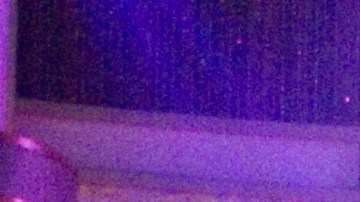 Photo: Flickr/Louise Palanker