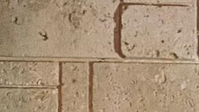 Camila Cabello Finally Apologizes for Using the N-Word in the Past