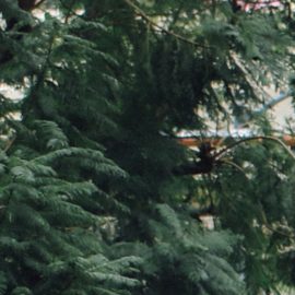 Photo: Unsplash/@alexradelich