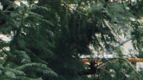 Photo: Unsplash/@alexradelich