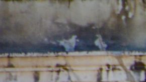 Photo: Unsplash/@jsr1