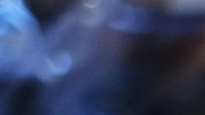 Photo: Unsplash/@MinkMingle