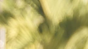 Photo: Unsplash/@philipegd