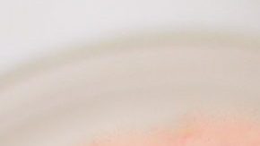 Photo: Unsplash/@raphaellovaski