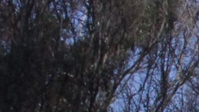 The 2020 Rose Bowl Parade Was All About Inspiring Latinas