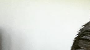 Photo: Instagram/silvioh