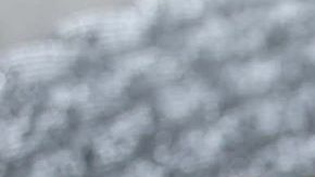 Photo: Instagram/ellasevecosmetics